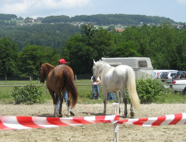 Uncas - foto povečava