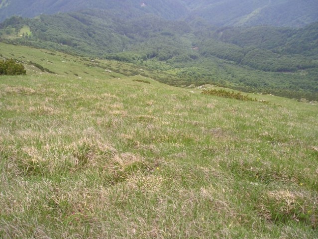 VOGEL-RODICA - ČRNA PRST 19.06.05 - foto