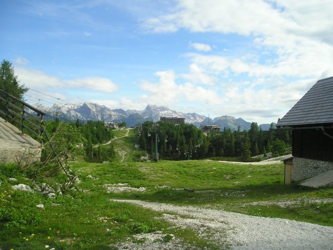 VOGEL-RODICA - ČRNA PRST 19.06.05 - foto povečava