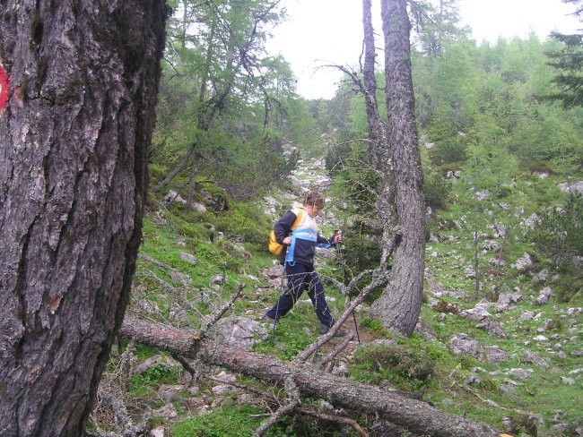 KOROŠICA 12.06.05 - foto povečava