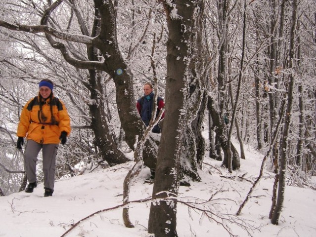 ČEMŠENIŠKA PLANINA 16.02.04 - foto