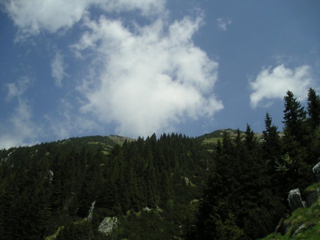 STOL 17.06.2006 - foto