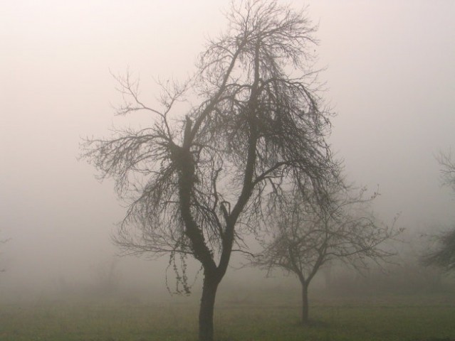 FOTO Krašnja Tomaž - foto