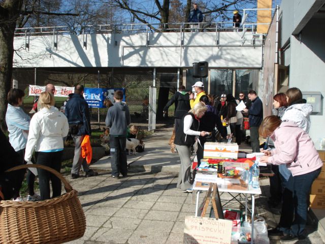 6. repkov tek, 28.3.2010 - foto povečava