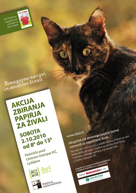 Zbiranje papirja okt2010 - foto