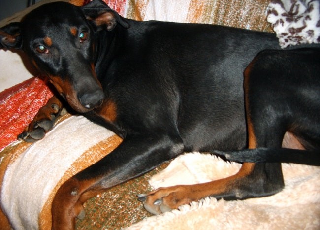 Lana november 2006 - foto povečava