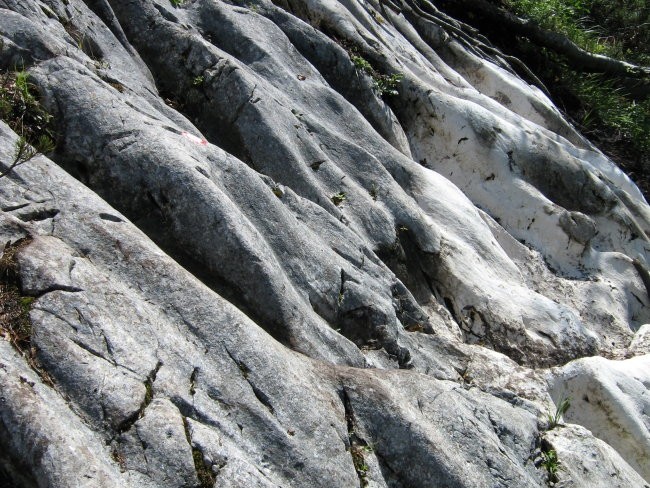 Zelo težko prehodne gladke skale, brez varoval in še mokre povrhu. Načel sem jih v popolni