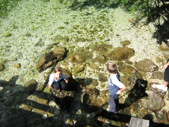 Bohinj avgust 2006 - foto povečava