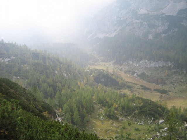 Malo polje, po njem se vije potoček.