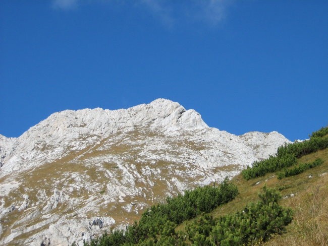 Moj današnji cilj, 2275 m visoki Tosc, precej porasel z travniki.