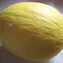 medena melona