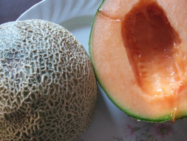 Dinja ali melona
