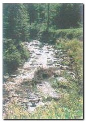 soteska potoka Lobnica