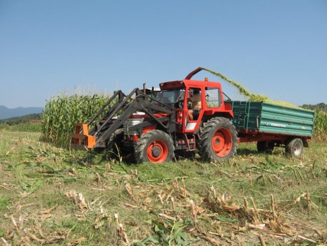 SILIRANJE 2008, 2009 - foto