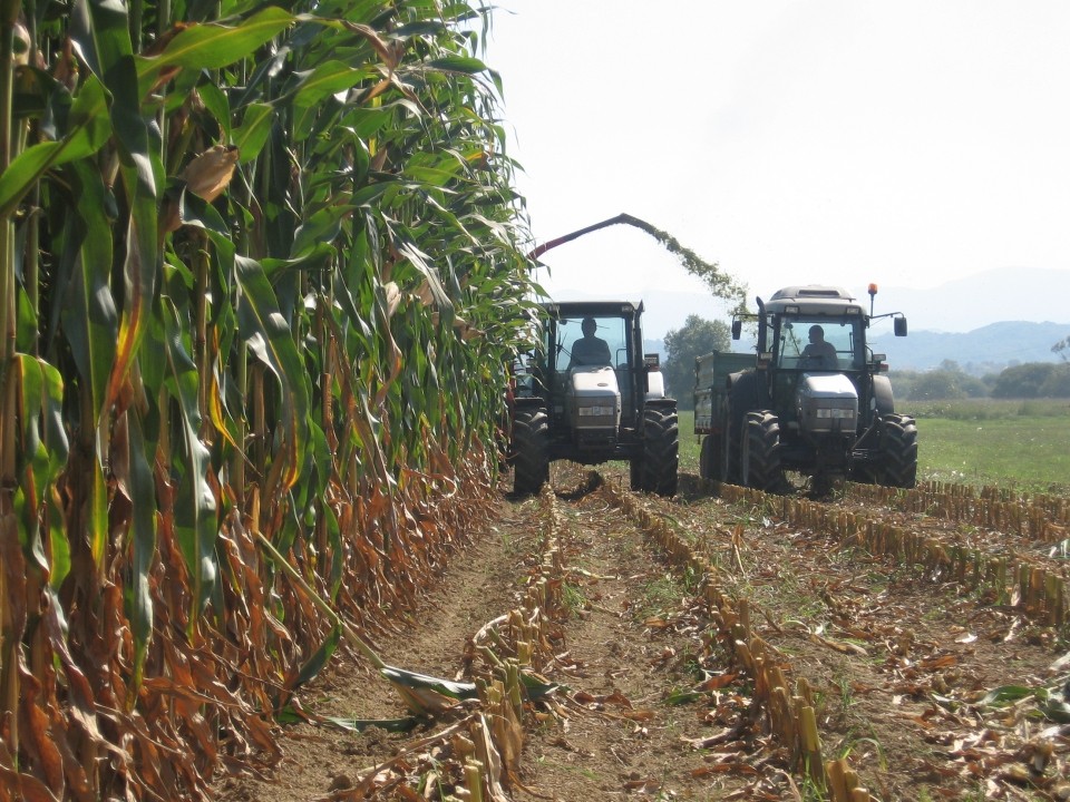 SILIRANJE 2008, 2009 - foto povečava