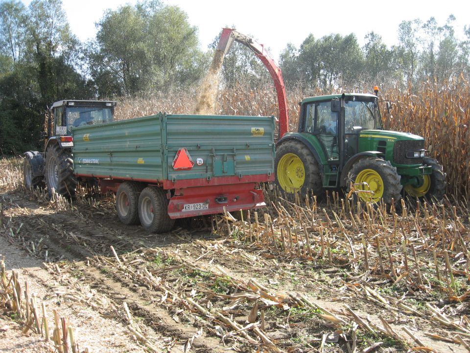 SILIRANJE 2008, 2009 - foto povečava