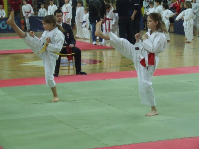 Karate turnir Kimon open - Ljubljana 2008 - foto
