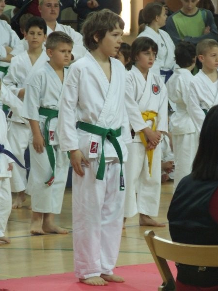 Karate turnir Kimon open - Ljubljana 2008 - foto povečava