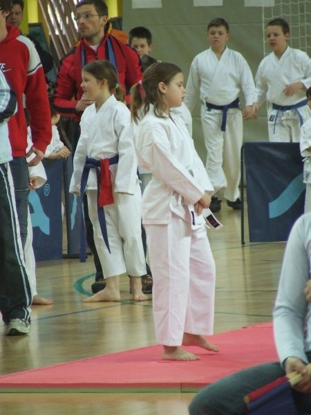 Karate turnir Kimon open - Ljubljana 2008 - foto povečava