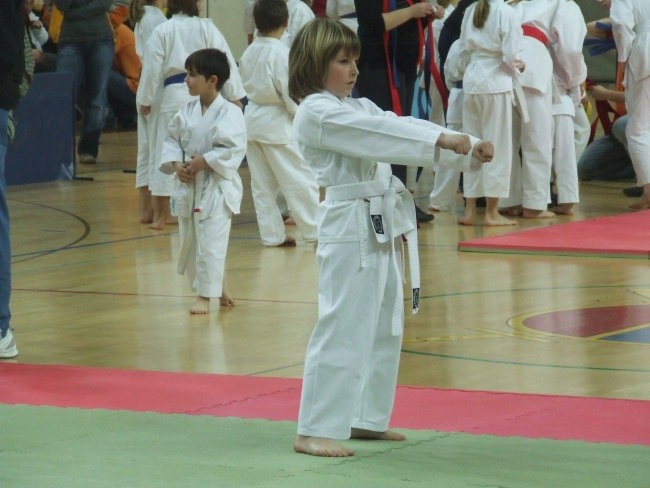 Karate turnir Kimon open - Ljubljana 2008 - foto povečava