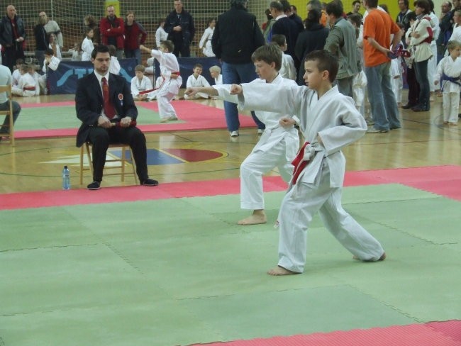 Karate turnir Kimon open - Ljubljana 2008 - foto povečava