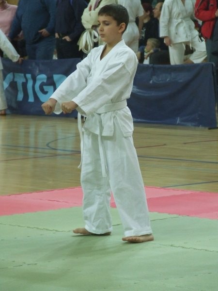 Karate turnir Kimon open - Ljubljana 2008 - foto povečava