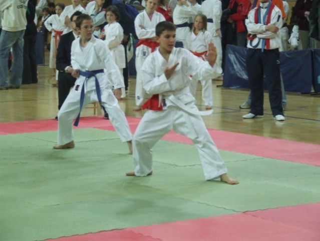 Karate turnir Kimon open - Ljubljana 2008 - foto