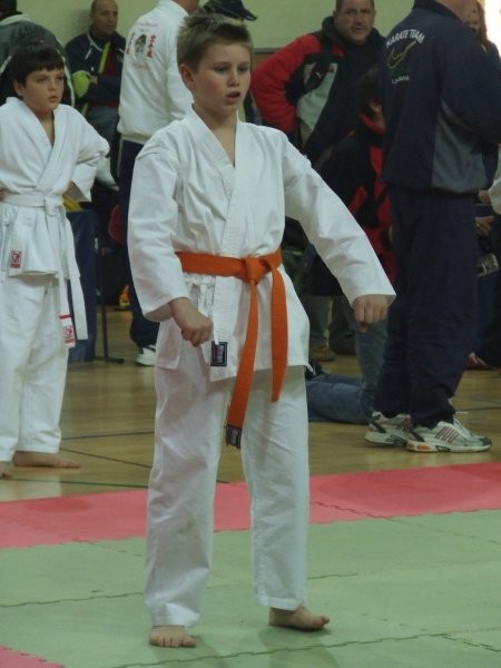 Karate turnir Kimon open - Ljubljana 2008 - foto