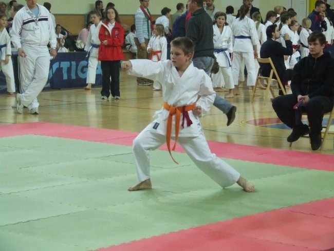 Karate turnir Kimon open - Ljubljana 2008 - foto povečava