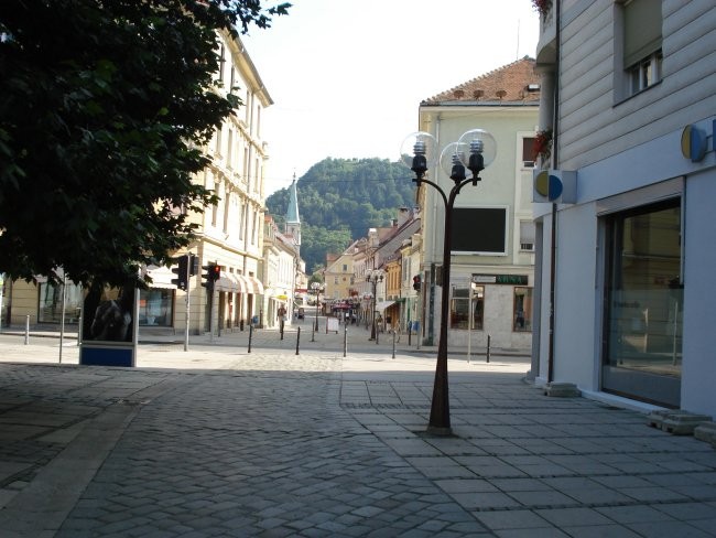 Slike celja - foto povečava