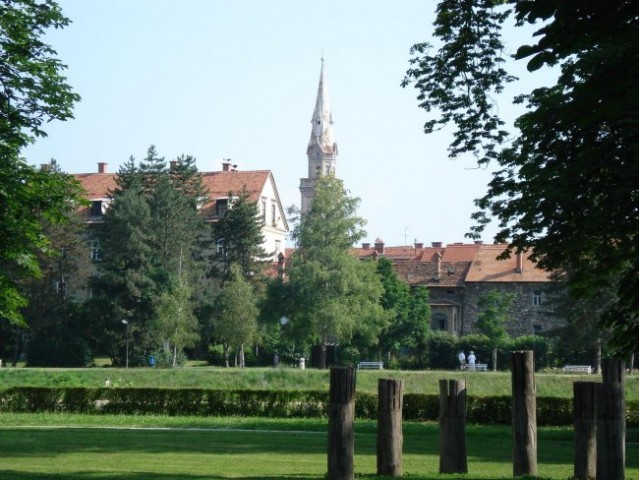 Slike celja - foto