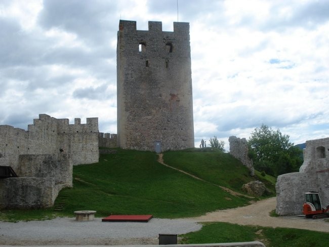 Slike celja - foto povečava