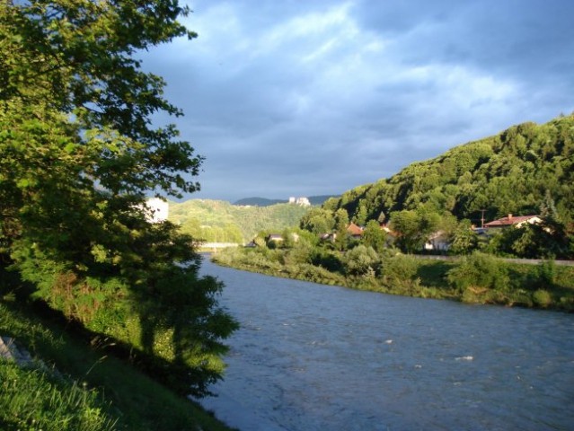 Slike celja - foto