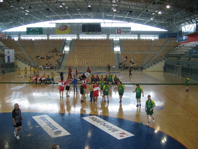 Torcida-celje - foto povečava