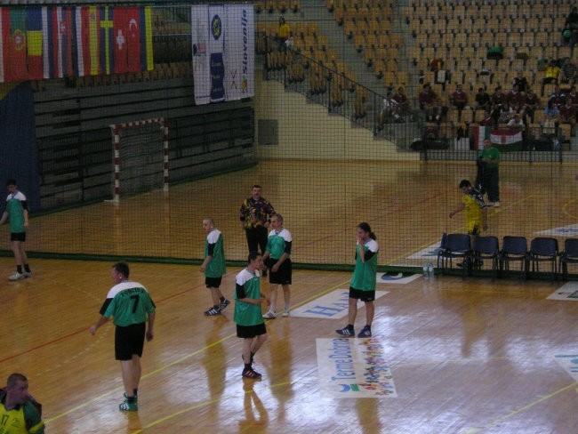 Torcida-celje - foto povečava