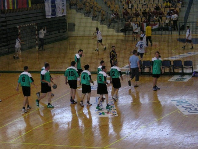 Torcida-celje - foto povečava