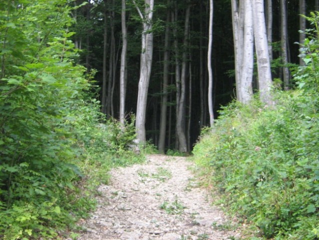 ČEMŠENIŠKA PLANINA - foto