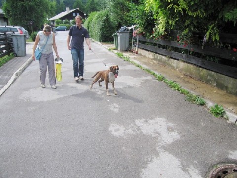 PRVI ROJSTNI DAN - foto