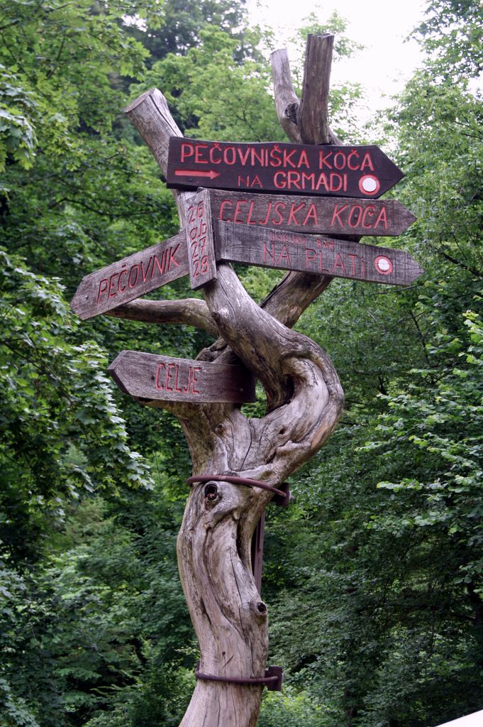 2010 0619 Tušev vzpon na Celjsko kočo - foto povečava