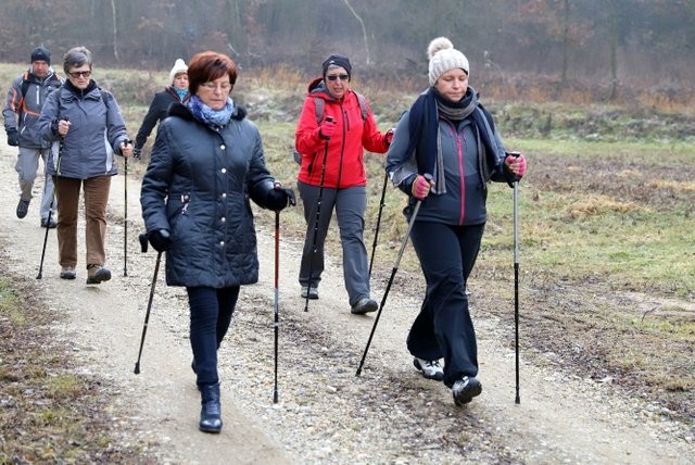 2019 0208  TD Vrtanek - Pohod Gornji Petrovci - foto