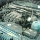 corrado