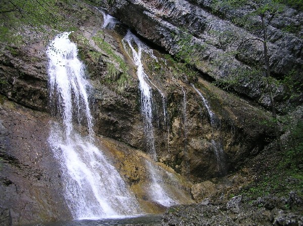 Sejbo - foto povečava