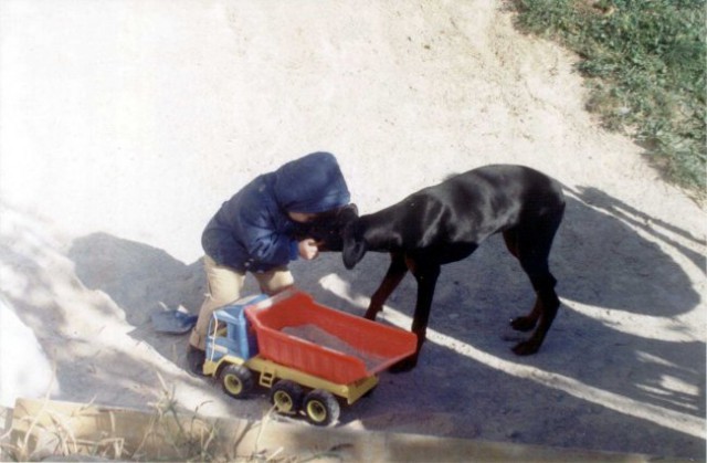 Kids and Dogs - foto