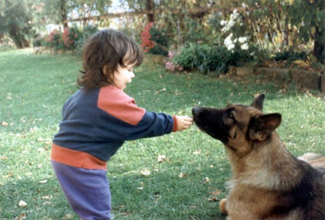 Kids and Dogs - foto