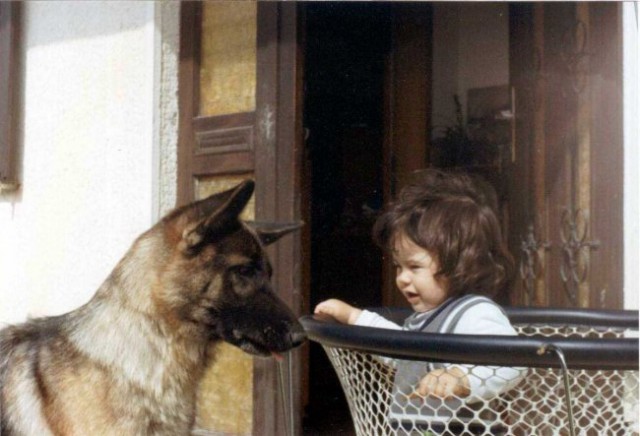 Kids and Dogs - foto