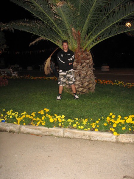 tao tak velki ananas? eh... to je palma takšna samo...