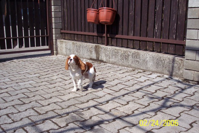 LADY - foto povečava