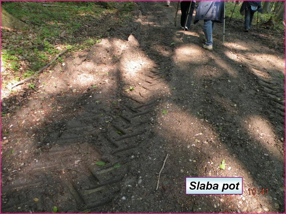 Peti tradicionalni pohod na Grmada - foto povečava