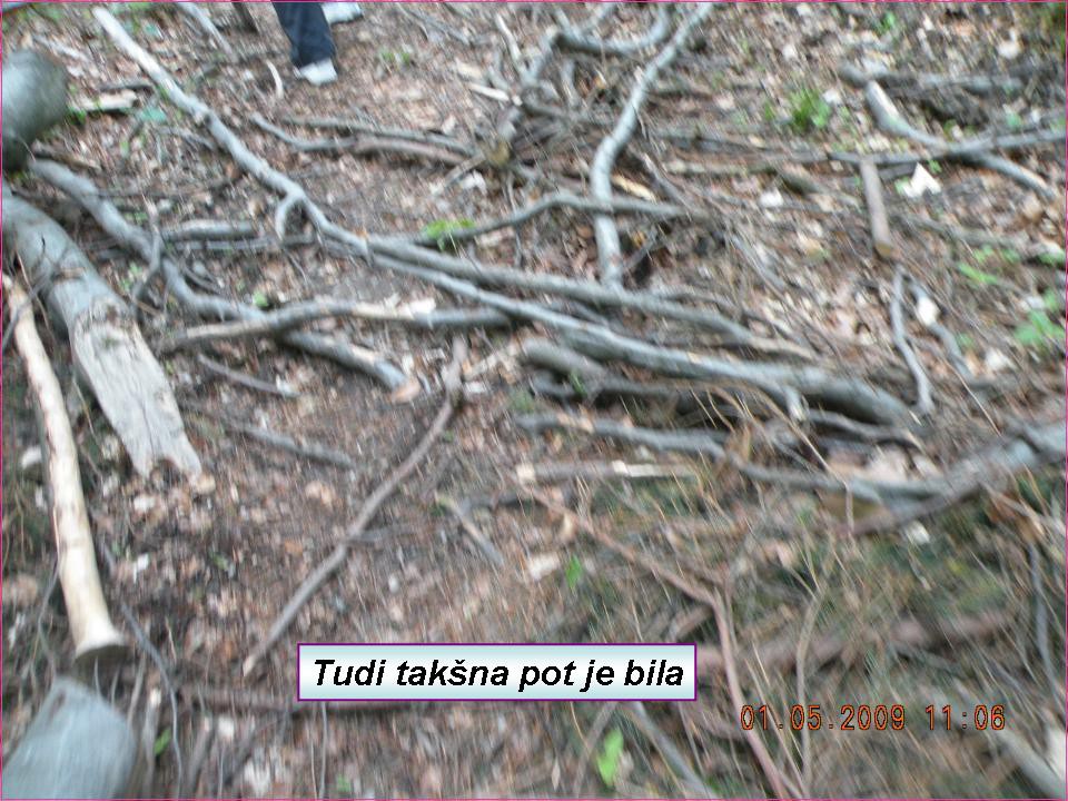 Peti tradicionalni pohod na Grmada - foto povečava