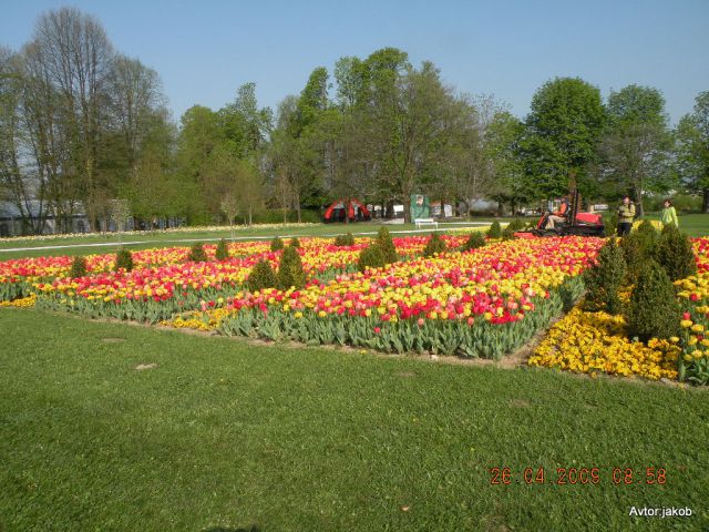 ARBORETUM - foto